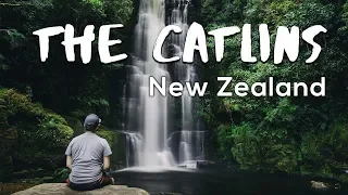 Exploring THE CATLINS | NEW ZEALAND (Sam Kolder Inspired)