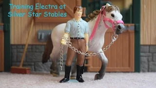 Training Electra at Silver Star Stables