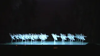 Magnificent Mariinsky corps de ballet: La Bayadere, Kingdom of the Shades