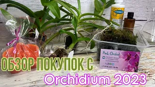 Обзор покупок на Осеннем Orchidium 2023 || Выставка орхидей в Москве || магазин Pink Orchid