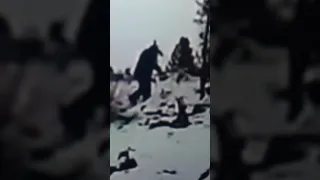 BIGFOOT  THE SNOW BEAST VIDEO VERY CLEAR