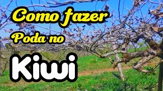 Como Podar Kiwi ou kivi