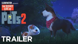 The Secret Life Of Pets 2 | The Rooster Trailer [HD] | Illumination