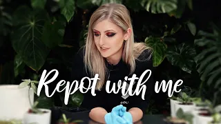 Starting a Plant Shop, Pest Control and more! | Repot with me + Chat