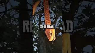 O MISTÉRIO DA COBRA LENDÁRIA NO RDR2 #shorts