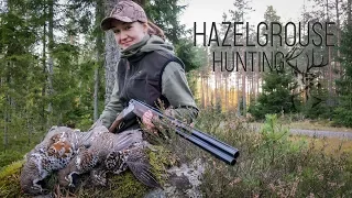 NH: Hazelgrouse hunting | 2018