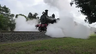 Loop Line Steam - 16th April 2024
