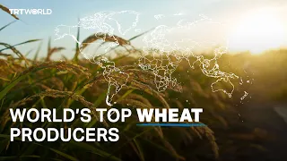 Who are the largest wheat producers in the world?