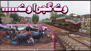 A Gujjar Milking Buffalo when fastest train Khyber Mail 1up passing through Kot Lakhpat Lahore cantt