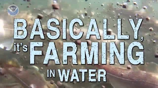 NOAA ... What is aquaculture?... in less than a minute.