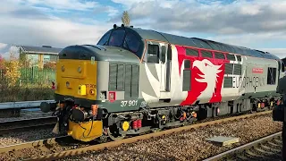 975025 "Caroline" 37418 & 37901 Through Thornaby station 26/10/2022