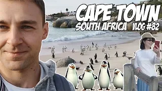 Penguins of Madagascar in Cape Town, South Africa? | Travel Vlog #82
