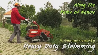 HEAVY DUTY STRIMMING (GeoTech Pro GFM 860 LE mower to deal with homestead's untamed wild grass) *77