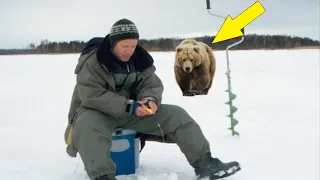 The fisherman did not notice that the bear had approached him! Then something terrible happened!