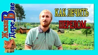 КАК ЛЕЧИТЬ ПЕРЕЛОМ ....! ЖИЗНЬ В ДЕРЕВНЕ.