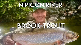 Nipigon River Brook Trout | Guide Tips