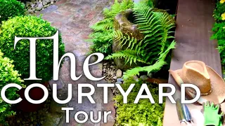 Courtyard Garden Tour in Chips Green World #courtyard #courtyardgarden #gardentour