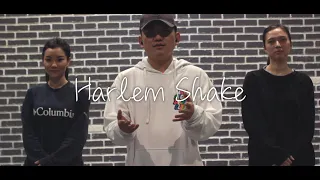 How to Harlem Shake | Hip-Hop Dance Tutorial