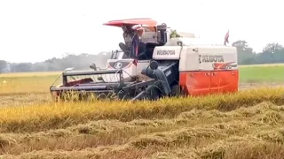 Kubota Rainy rice harvest#001 2