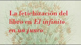 La fetichización del libro en El infinito en un junco