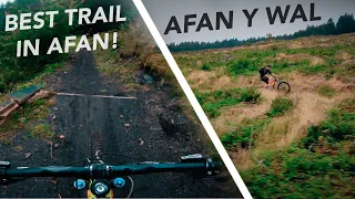 The Y Wal Trail is So Sick! // Afan Forest Park MTB