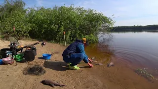 #рыбалка #фидер #лещ    Утренний клёв Леща!   Где-то на берегу Днепра 🐟🐟🐟🇺🇦🤘