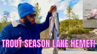 2 Days of RAINBOW TROUT in Lake Hemet (DEER ATTACK?!?)