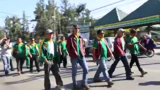 BSU delegate Strawberry Festival 2017 parade