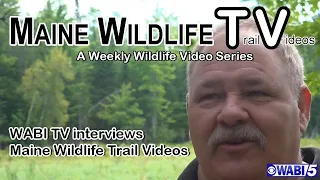 Maine Wildlife Trail Video interviewed by WABI