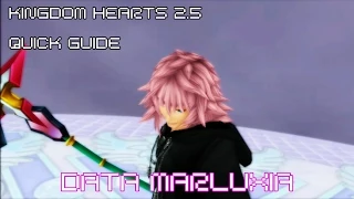 KH 2.5 Quick Guide for Data Marluxia