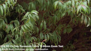 Video Zoom Test GH5 HD ExTele Panasonic Leica 12-60mm