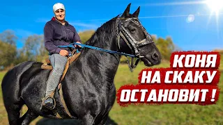 Я нашёл её! Та самая девушка из стихов Некрасова! | Орловская обл, Колпнянский р/н с.Дровосечное