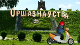 Оршазнаўства. Расліны і жывёлы