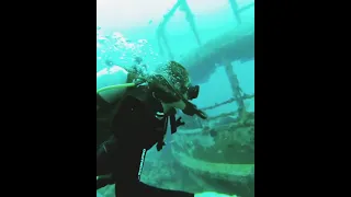 Shipwreck diving in Dominican Republic