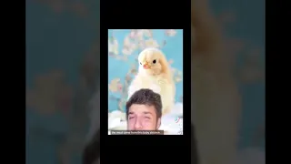 memes I found on tiktok pt22 #meme