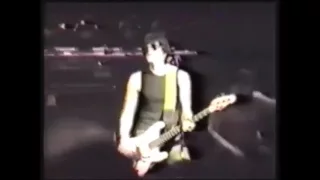 Ramones -  Needles & Pins Live 1988