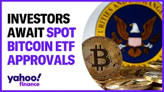 Spot bitcoin ETF: Why people may not be rushing in to buy