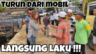 DEK YAYA!! BAWA SAPI LEMON TURUN DARI MOBIL LANGSUNG LAKU!!