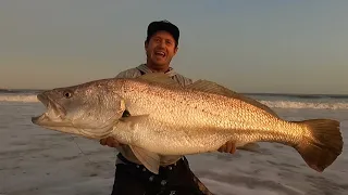 Big Kob on a tiny hook while fishing for White Steenbras! Small hooks can catch big fish too!