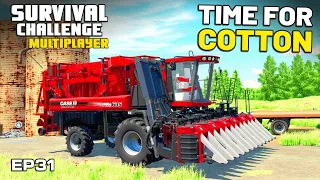 I BUY THE COTTON PICKER READY FOR HARVEST Survival Challenge Multiplayer FS22 Ep 31