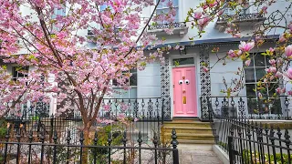 London’s Cutest Pink Door 🌸 Bayswater to Notting Hill, London Spring Walk 2024 [4K]