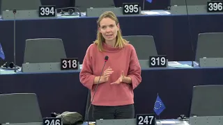 Rede zu einem europäischen Lieferkettengesetz - Anna Cavazzini MdEP