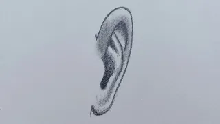 How to draw ear front view | How to draw realistic ear | Ear Drawing