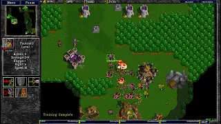 Warcraft 2  7.5.2024