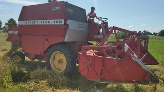 4к молотым мокрое комбайном Massey Ferguson