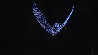 2,000+ drones stage light show in St. Petersburg to commemorate anniversary of end of WWII