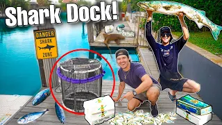 FINDING AQUARIUM FISH Using 1,000 LBS Of Dead Fish! (shark infested dock)