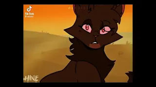 Warrior cat TikTok part #1