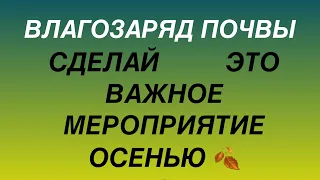 ВЛАГОЗАРЯД ПОЧВЫ ЭТО ГЛАВНОЕ ОСЕНЬЮ ДЛЯ РАСТЕНИЙ