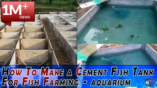 How To Make a Cement Fish Tank For Fish Farming - aquarium fish tank setup ponds
